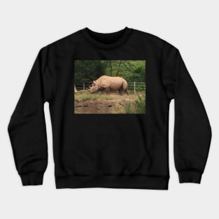 Gentle Giant Crewneck Sweatshirt